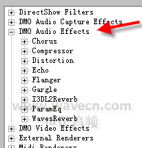 DirectShow��Ƶ���
