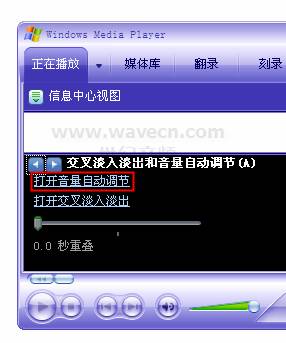 Windows Media Player���浭�뵭���������Զ�����
