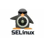 簲ȫȼ֮SELINUX֮ʲôǲԣ