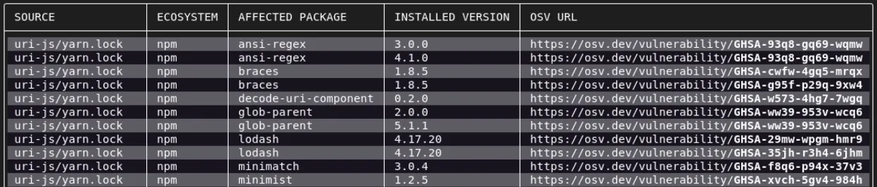 osv-scanner output