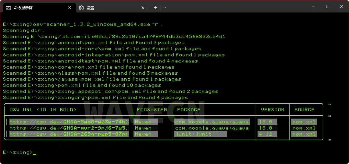 osv-scanner output