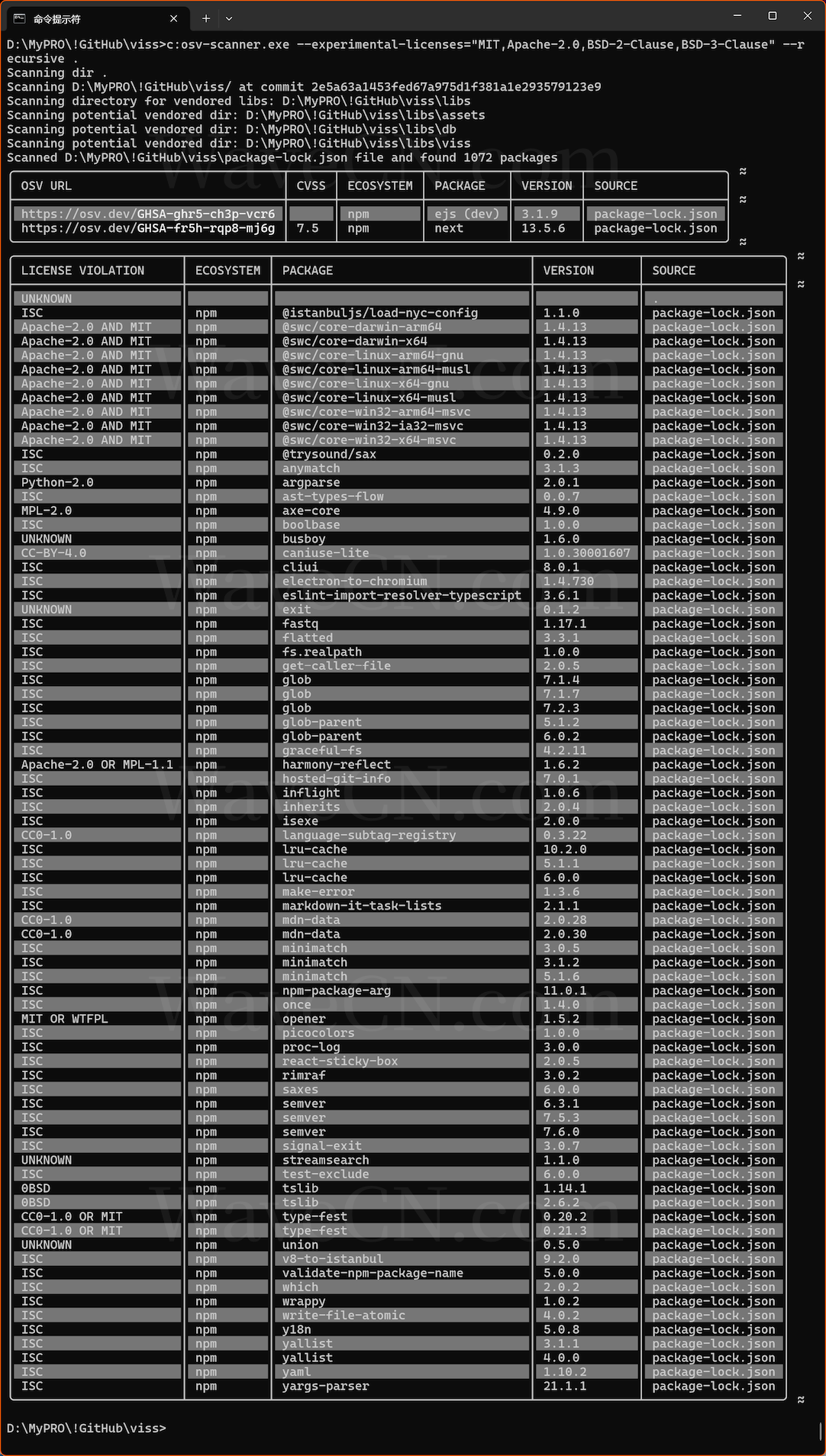 OSV-SCANNER LICENSE SCAN DETAIL